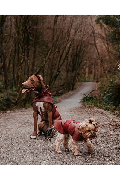JIMI FOR ALL Bordox Küçük Ve Büyük Irk Köpek Yağmurluğu