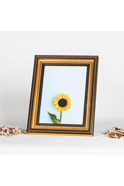 Serita 21x30 Fotoğraf Çerçevesi A4 Diploma Belgelik Çerçeve GOLD