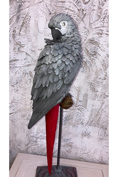 wowocraft Papağan Kaideli Jako Büyük