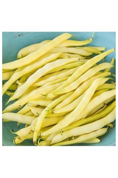 Köy Tohumları 100 Adet Tohum Organik Bahçe Taze Hanımeli Çıt Kırıldım Fasulye Fasülye Tohumu