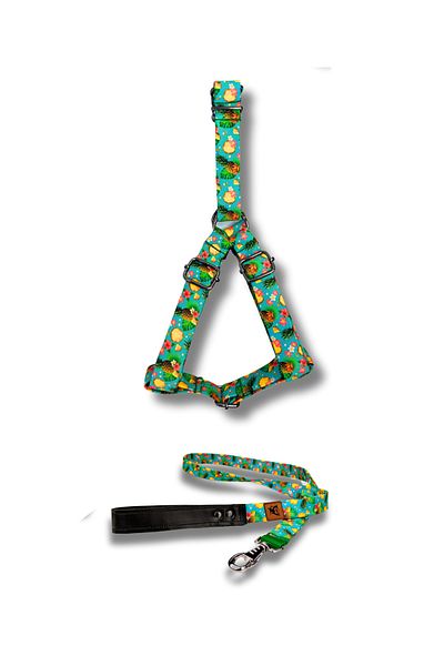 UTDpet Pineapple Dog Collar and Travel Dispatch Strap Set
