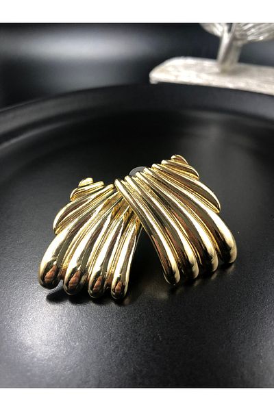 CSK.AKS Steel Model EARRING