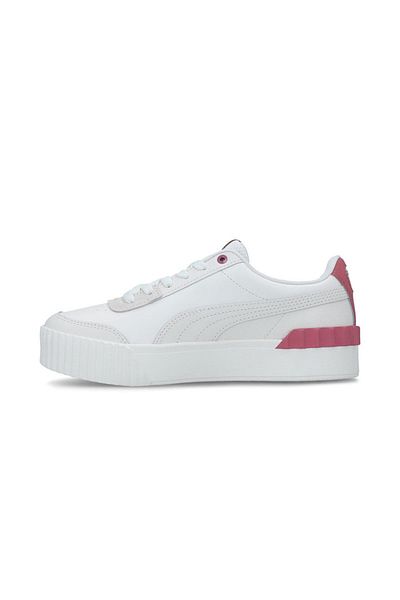 Puma Liftul Carina