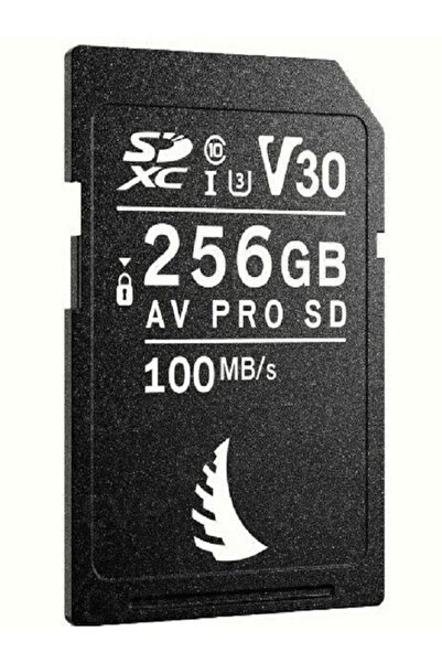 Angelbird AV Pro SD 256 GB V30 SD Kart