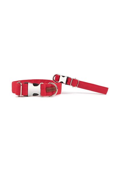 Lusi Doog Dog Collar and Travel Strap Set
