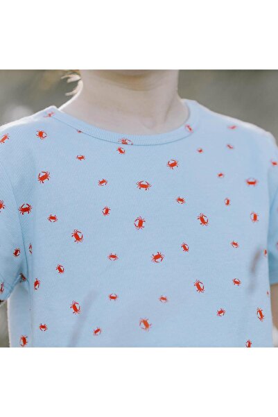 Antebies Yengeç Ailesi Kısa Kollu Pijama Takımı