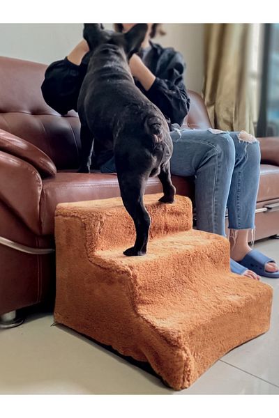 Patiderm Cat & Dog Ladder Zippered 3 Step Sponge Ladder - Beige