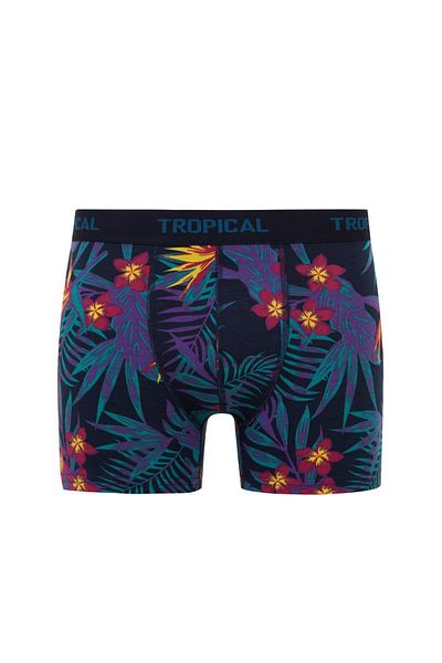 DeFacto Boxer 3 τεμαχίων Regular Fit B7961ax24sm