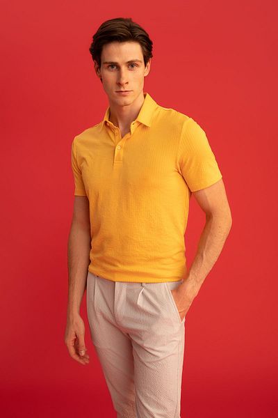 DeFacto Slim Fit Polo Collar Short Sleeve Cotton T-Shirt X2594az22sm