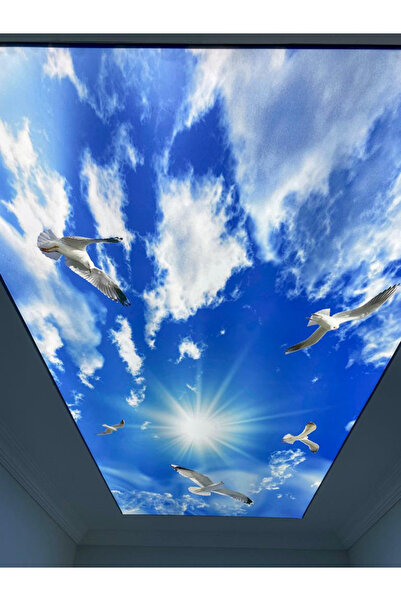 Genel Markalar Renkli Oturma Gergi Tavan Modelleri ile şık ve modern yaşam alanları