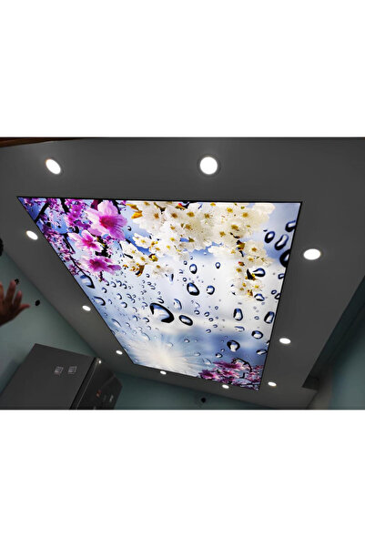 poster marketi Mutfak Gergi Tavan Modelleri