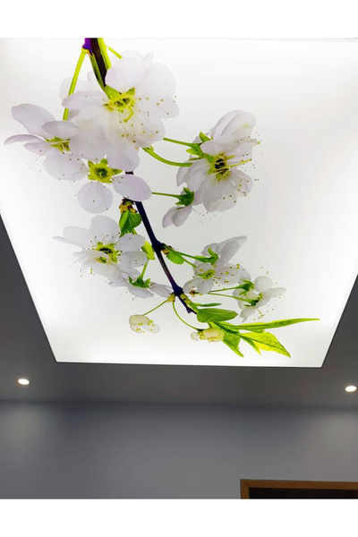 poster marketi Mutfak Gergi Tavan Modelleri