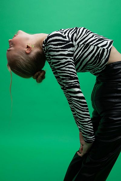 DeFacto Fitted Crew Neck Zebra Print Long Sleeve T-Shirt Z1123az22au