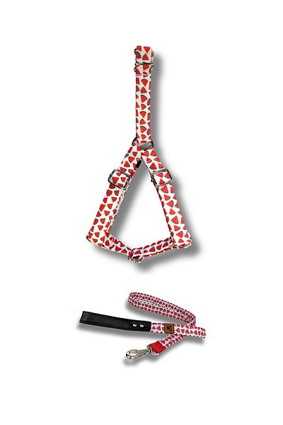 UTDpet Ladybug Dog Chest Collar and Travel Dispatch Strap Set