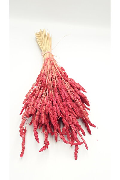 Süs ağacı Doğal Şoklanmış Kuru Çiçek Demeti