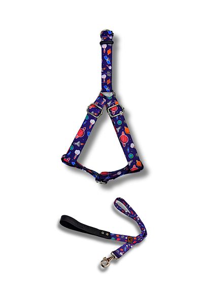 UTDpet X Æ A-12 Dog Collar and Travel Dispatch Strap Set
