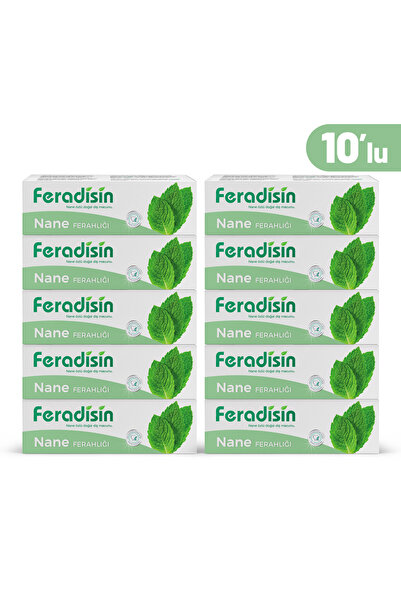 Feradisin Diş Macunu Nane Ferahlığı 75 Ml( 10 Adet)