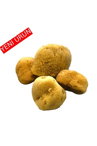 Foça Bitkisel Ürünler Doğal Hediyelik Makyaz Temizliği Anti-Bakteriyel Deniz ...