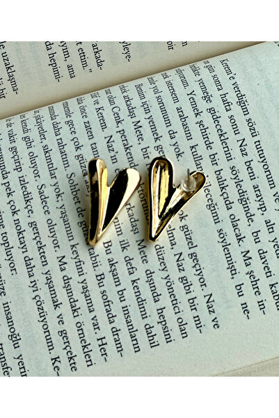 MİRZAS BALKES Çelik Kalp Küpe