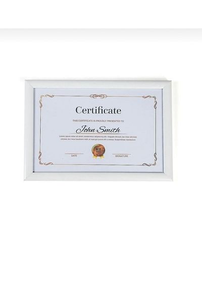 Serita 21x30 Photo Picture Poster Certificate Frame