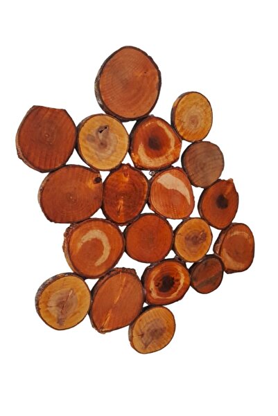 YEŞİLADA Oyma Kütük Dilimleri Duvar Süsü Dekorasyonu Marijinal Ağaç Duvar - T...