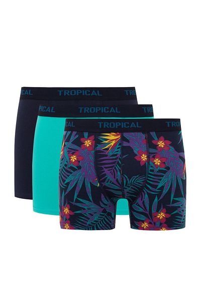 DeFacto Boxer 3 τεμαχίων Regular Fit B7961ax24sm