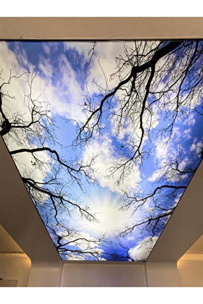 poster marketi Oturma Gergi Tavan Modelleri