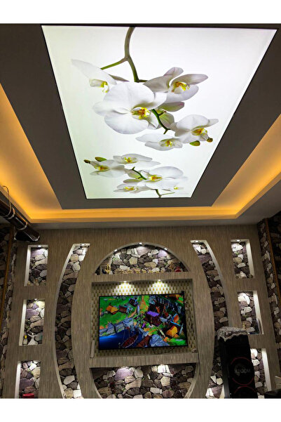 poster marketi Salon Gergi Tavan Modelleri