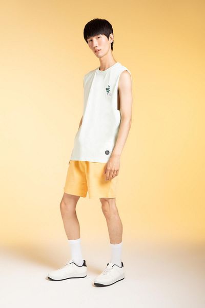 DeFacto Slim Fit Baumwollshorts mit Cut-Tip X3849az22sm