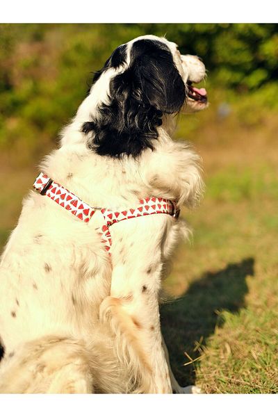 UTDpet Ladybug Dog Chest Collar and Travel Dispatch Strap Set