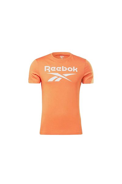 Reebok Μπλουζάκι με μεγάλο λογότυπο Rı