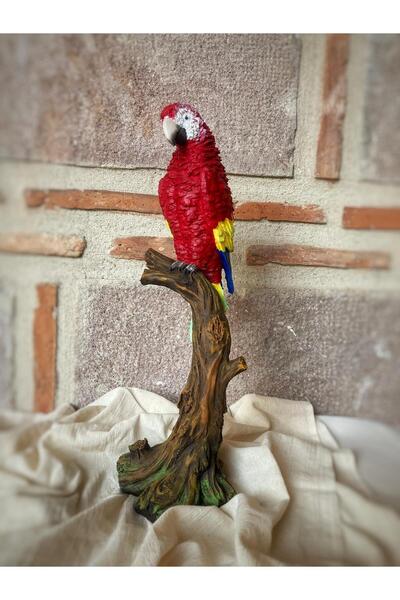 wowocraft Papağan Macaw