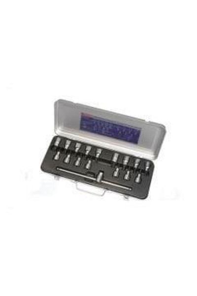 İzeltaş Izeltaş 17 Piece Allen and Torx Socket End Set - 1/2& # 039;& # 039;