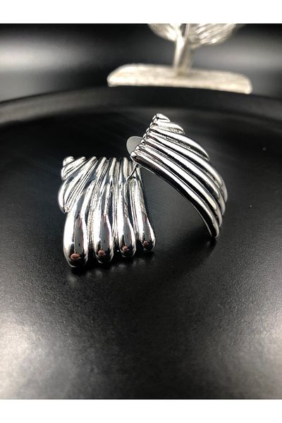 CSK.AKS Steel Model EARRING