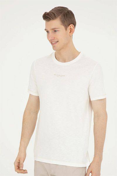 U.S. Polo Assn. US Polo AssnMen's Regular T-Shirt50281052-VR019