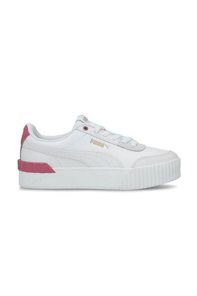 Puma Liftul Carina