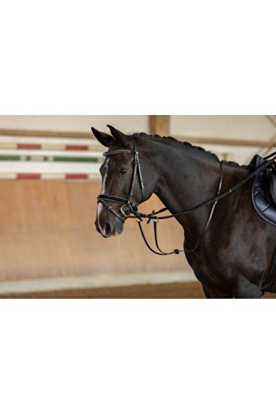 cavalliero Martingal