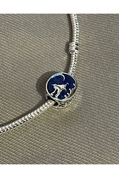 asaf Aladdin ve Prenses Yasemin Sihirli Halı Charm | gümüş kaplama