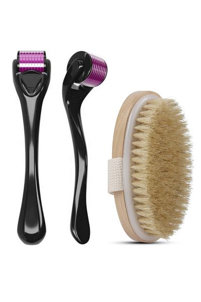 Welta Titanium Tip 540 Needle Derma Roller 1 Mm Needle and Horsehair Cellulite Brush