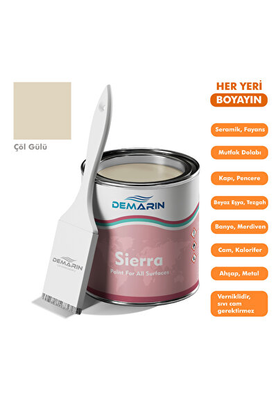 Demarin Her Şeyi Boyayan Boya Sierra Tek Bileşen Fayans, Tezgah, Seramik, Mob...