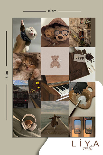 LiyaCraft Kahverengi Temalı Sevimli Sticker Seti Planner Ajanda Bullet Journa...