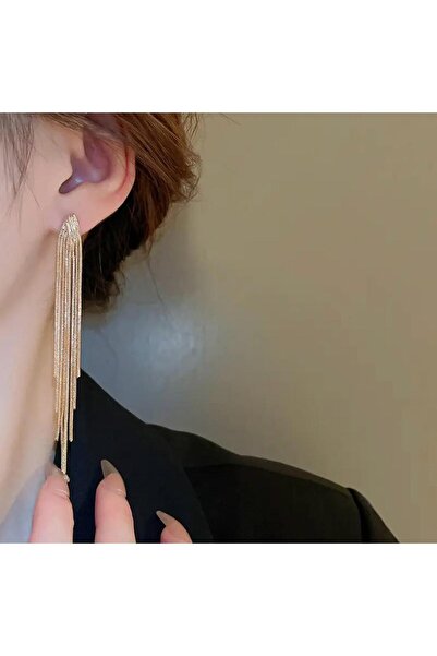 DESİGNEDBYD Uzun Sallantılı Küpe Long Dangling Steel Earrings