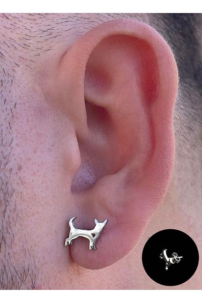 Piercing Market Steel & Silver Men's Steel Special Design Earrings No Darkening Fading
