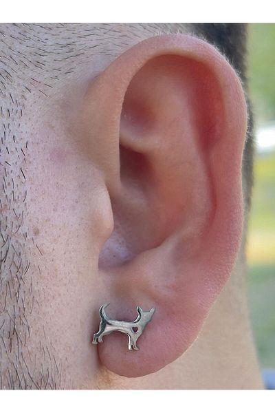 Piercing Market Steel & Silver Men's Steel Special Design Earrings No Darkening Fading