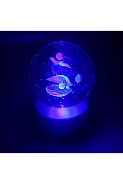 Tahtakale Dünyası İstiridye kabuğu ve inci tasarımlı gece lambası oda aydınlatması hediyelik lamba