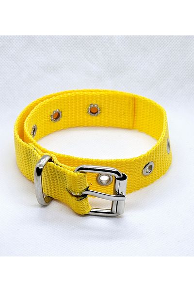 hebmeyy Dog collar, special texture dog collar
