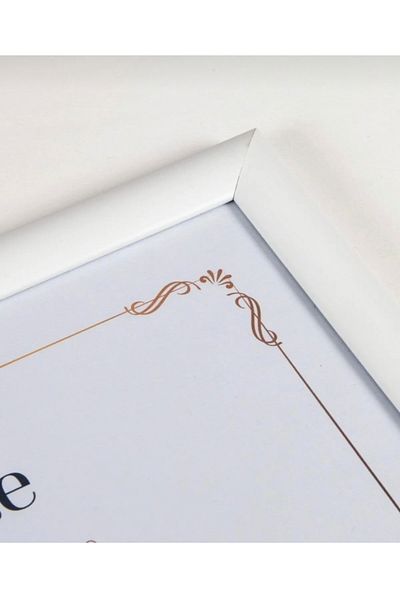 Serita 21x30 Photo Picture Poster Certificate Frame
