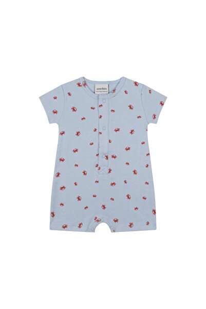 Antebies عائلة السلطعون بأكمام قصيرة - Barbatöz