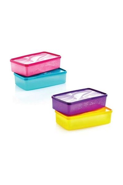 Perodia 2.1 L (4pcs) Alaska Deep Freezer Storage Container Sa-980