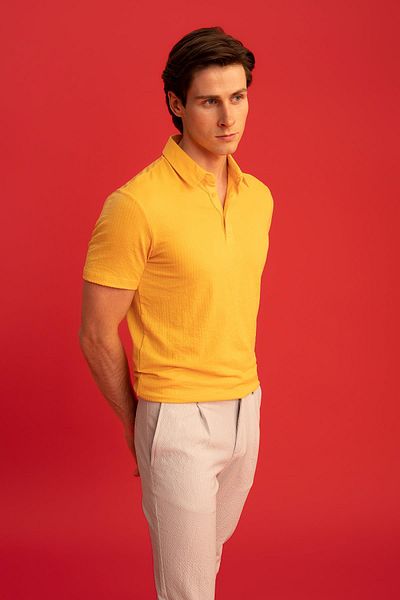 DeFacto Slim Fit Polo Collar Short Sleeve Cotton T-Shirt X2594az22sm